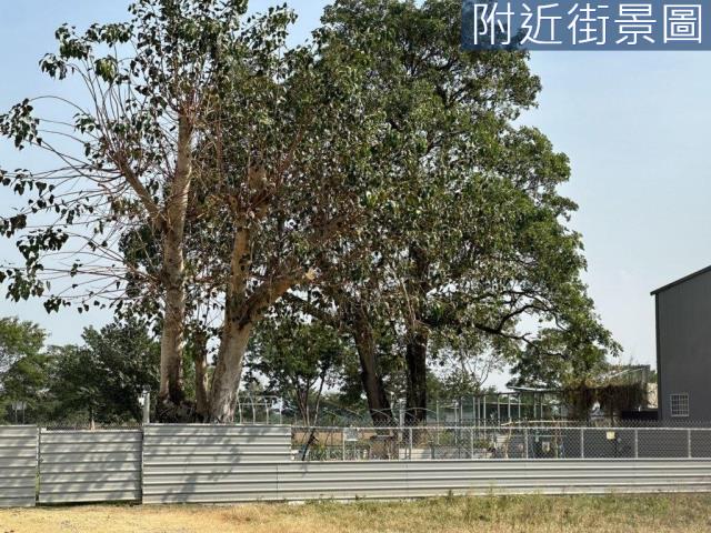 台南農地-5