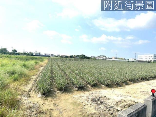 台南山上農地-1