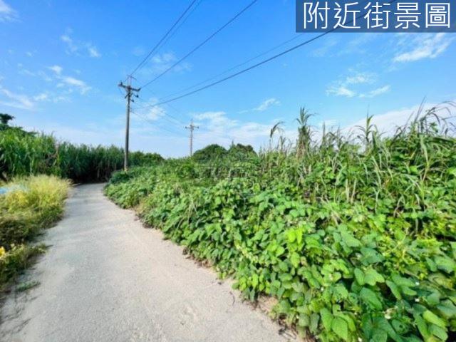 台南山上農地-5