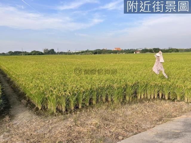 台南六甲農地-0