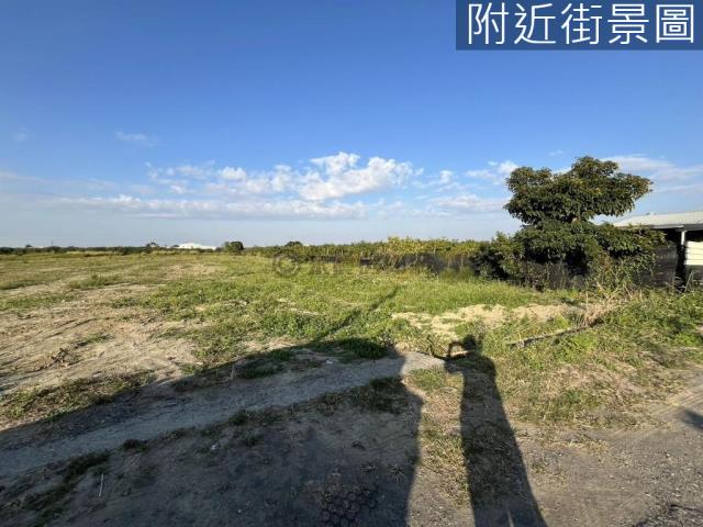 麻豆農地-0