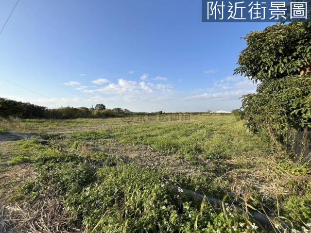 麻豆農地-1