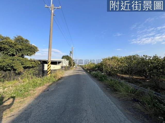 麻豆農地-4