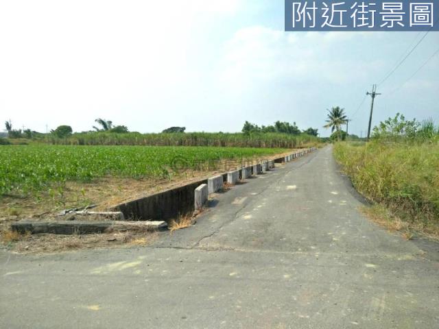 善化農地-10