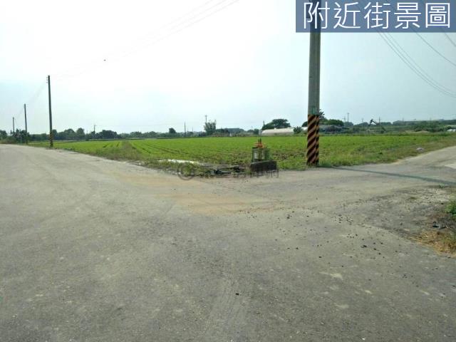 善化農地-12