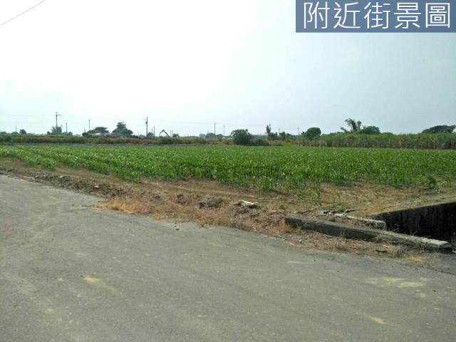 善化農地-2