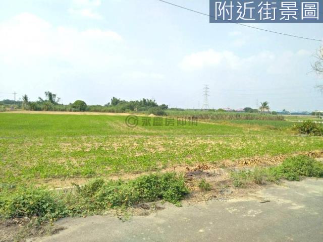 善化農地-4