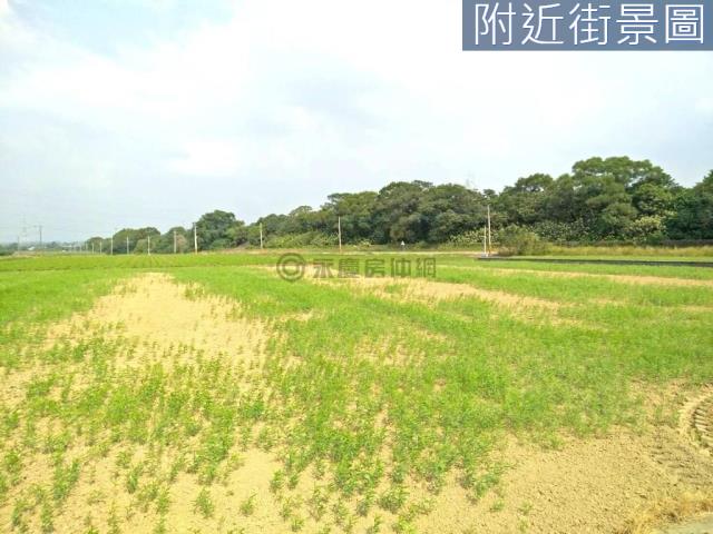 善化農地-5