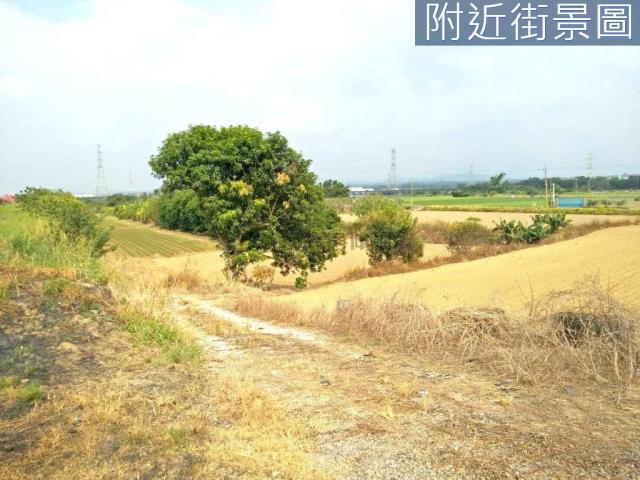 善化農地-6