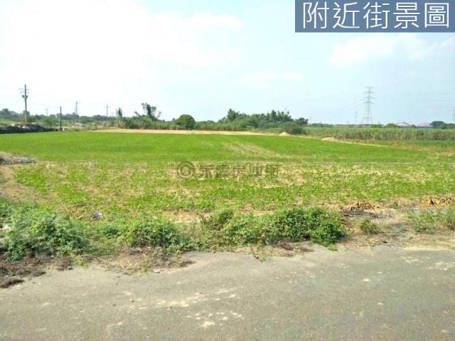 善化農地-7