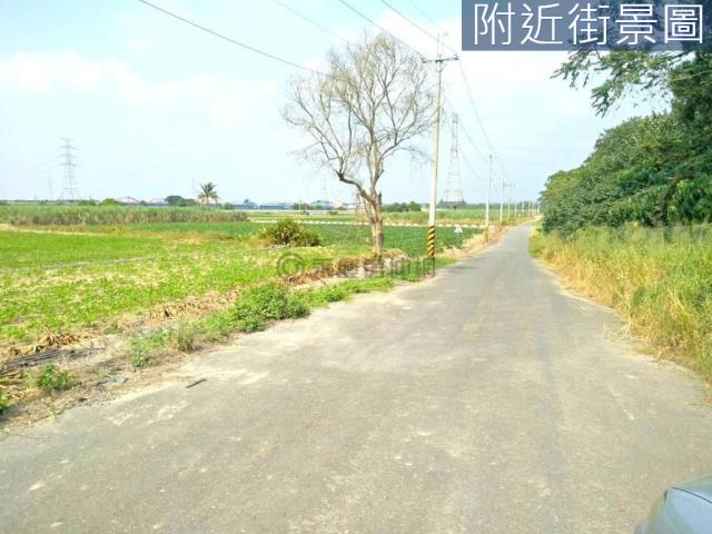 善化農地-8