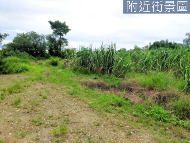 善化農地-9