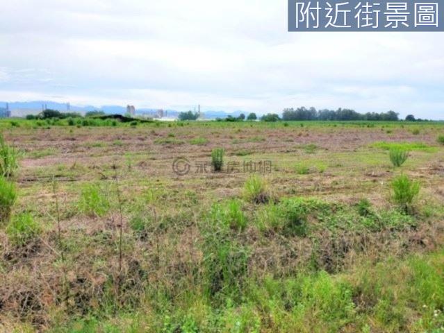 善化農地-14