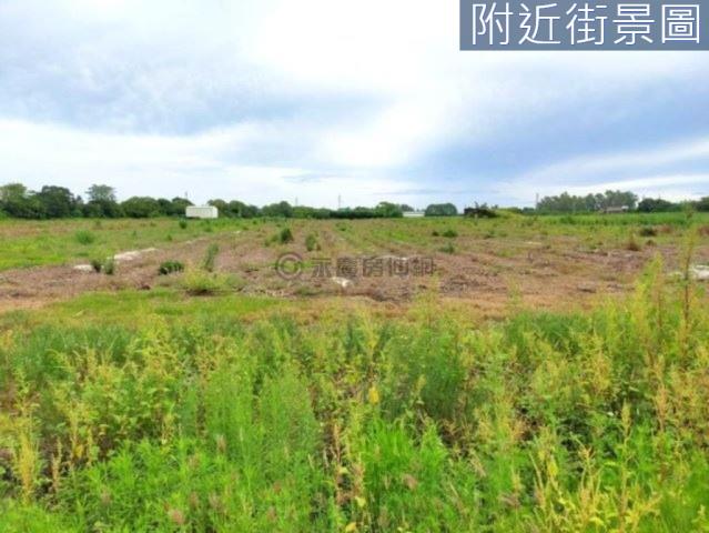 善化農地-2