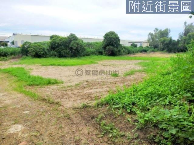 善化農地-3
