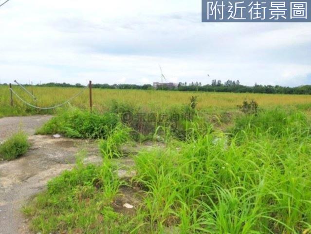 善化農地-4