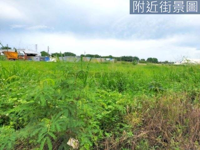 善化農地-5
