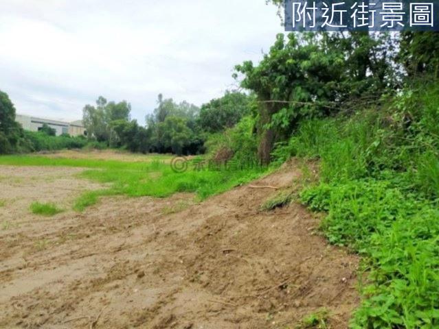 善化農地-6