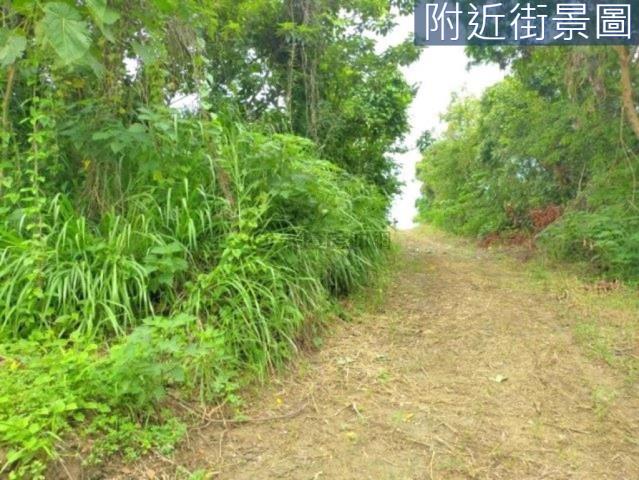善化農地-7