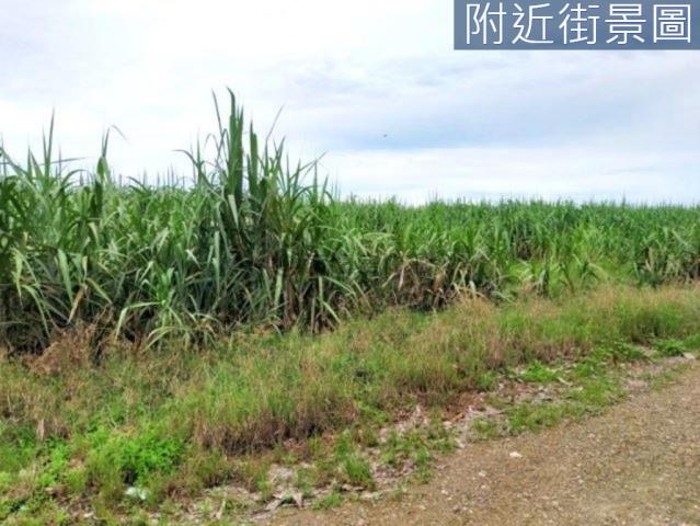 善化農地-8