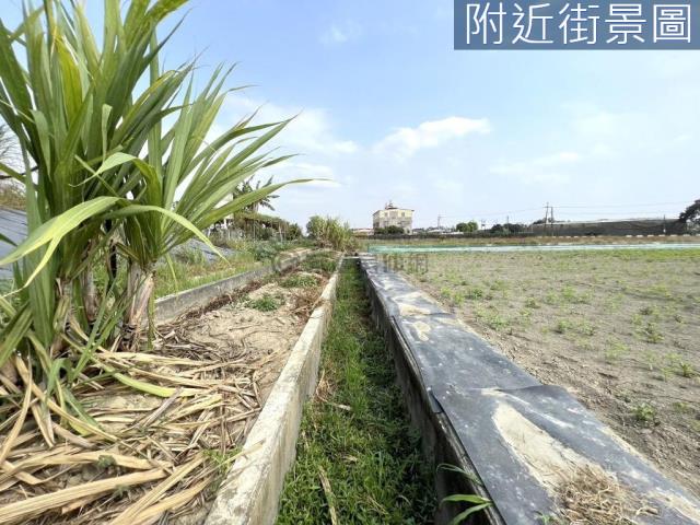 新化農地-9