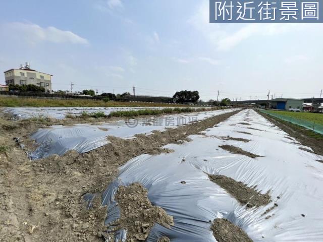 新化農地-11