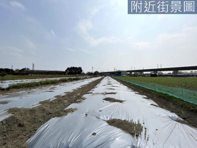 新化農地-3