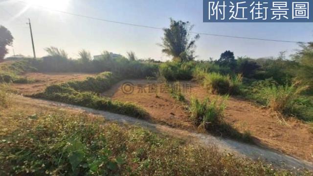 新化農地-2