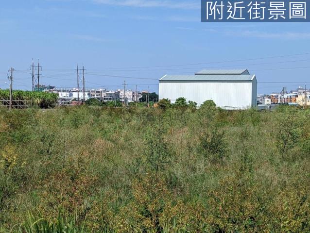 新市農地-11
