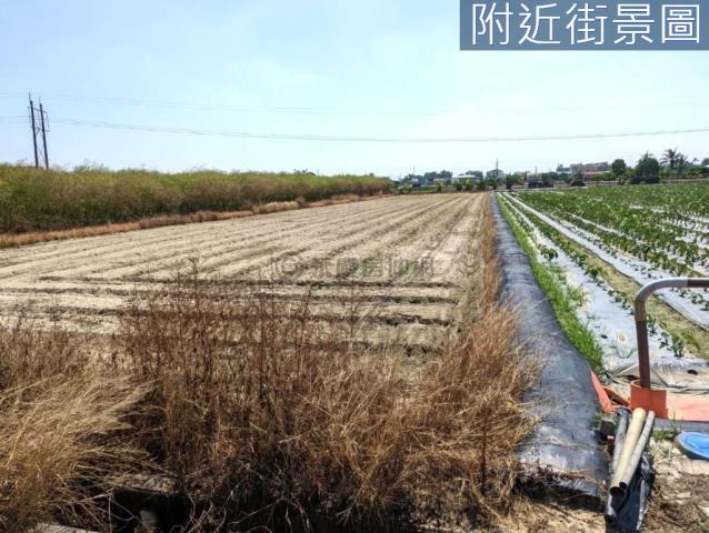 新市農地-1