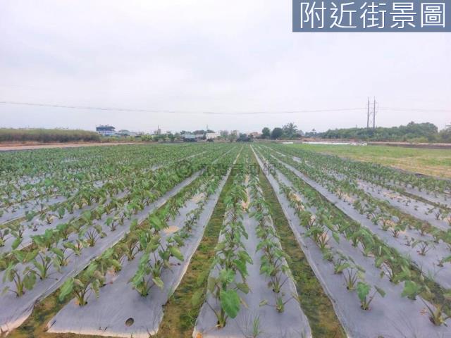 新市農地-5
