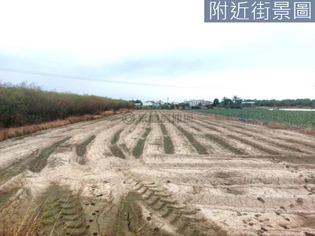 新市農地-6