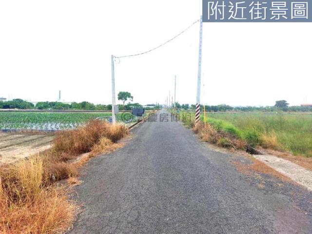 新市農地-7