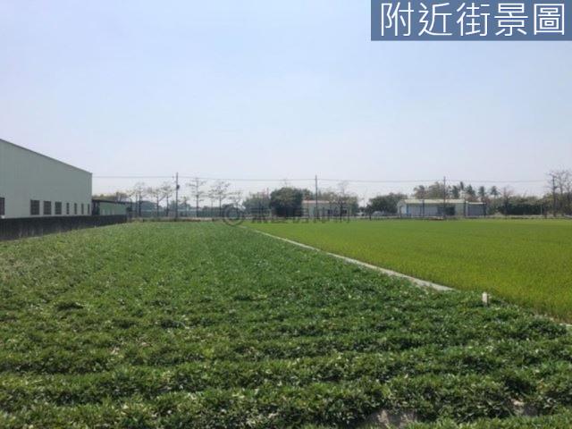 新市農地-1