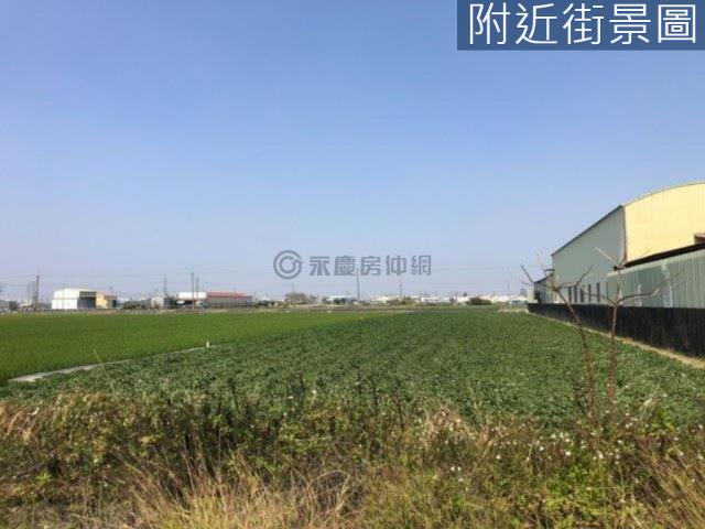 新市農地-3