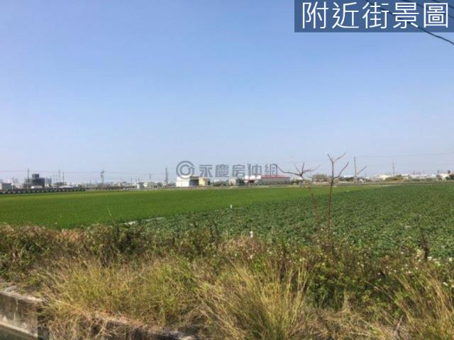 新市農地-4