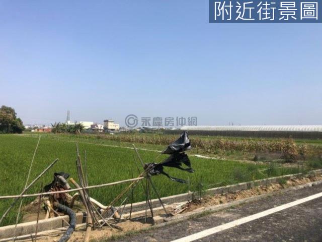新市農地-5