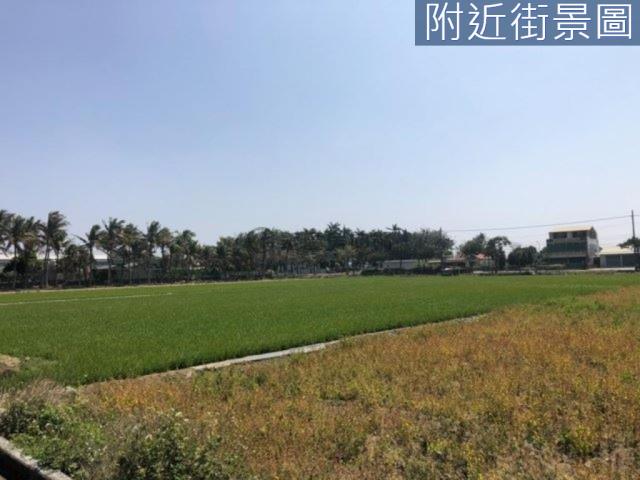 新市農地-6