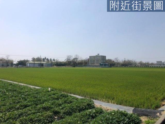 新市農地-7