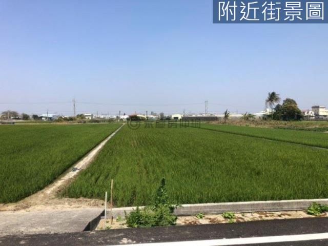 新市農地-8