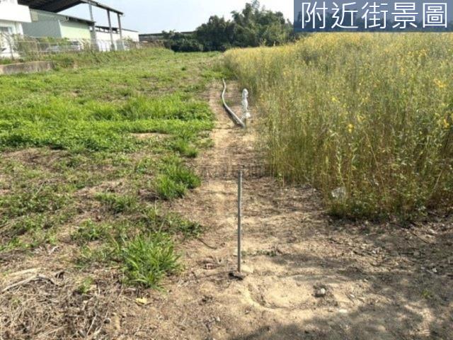新市農地-1