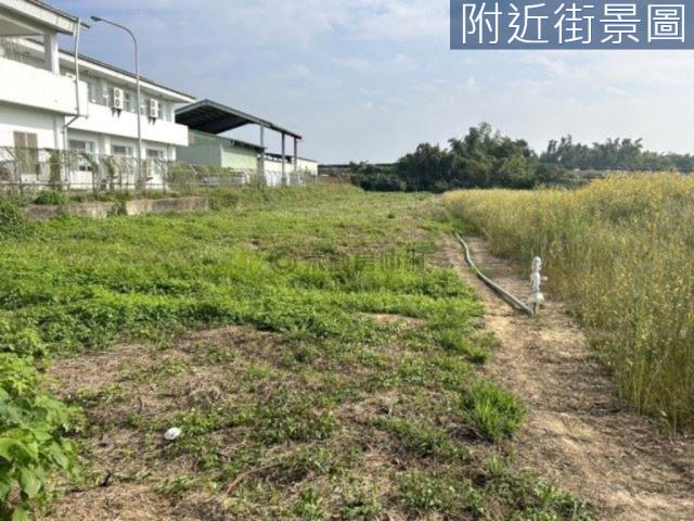 新市農地-3