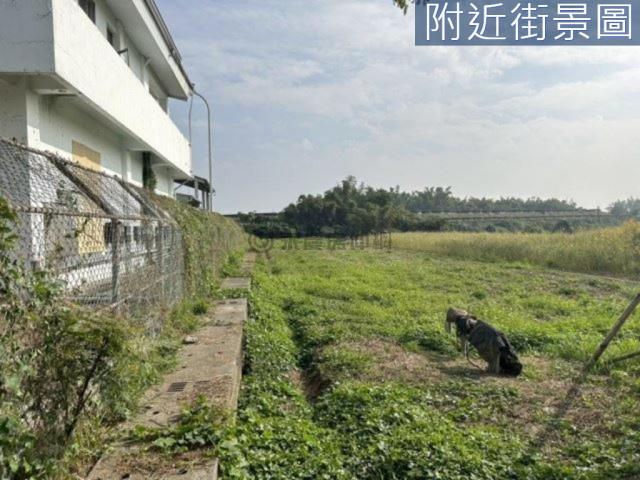 新市農地-4