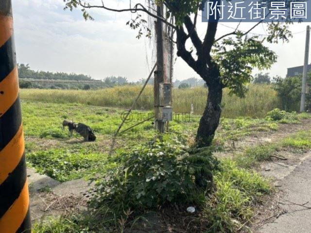 新市農地-5