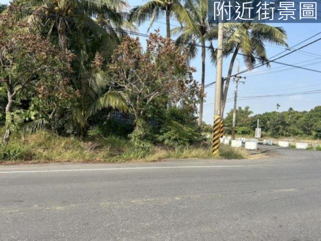 新市農地-8