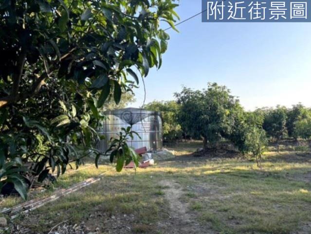 楠西農地-9