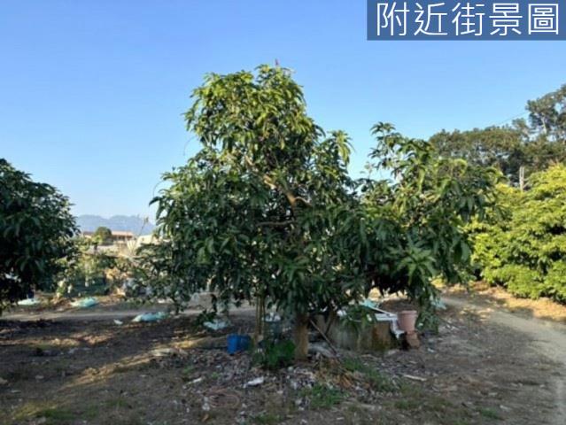 楠西農地-11