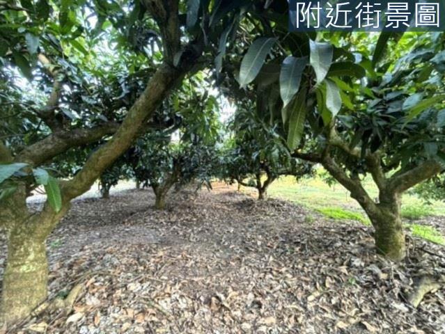 楠西農地-12