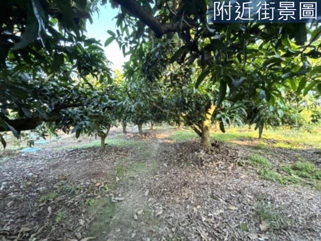 楠西農地-14