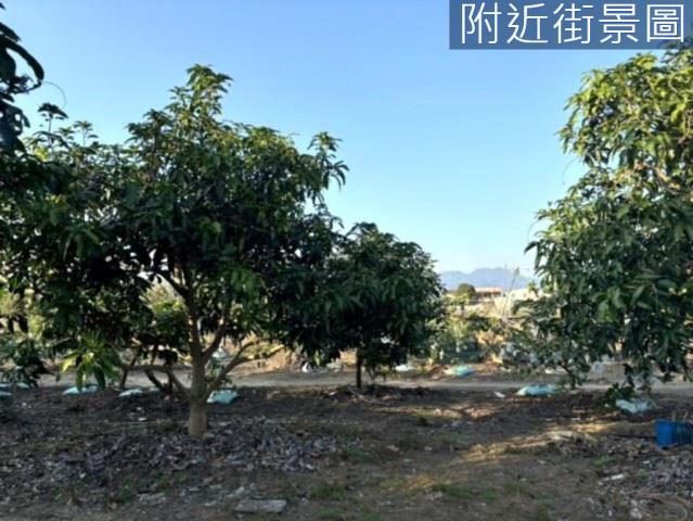 楠西農地-0